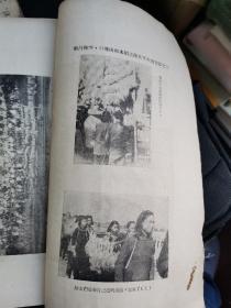 江西农林 创刊号 第一卷第二期、第一卷第三期、第一卷第四期。共4册合订成一厚册，徐静波旧藏。保存了邓洪，杨惟义，雷震，谢治平，熊仲虚，倪作舟，丁景才，盛庆元，黄庭理，龚步青，刘伟文，向炫晴，蔡道总，胡裕孙，周效之，吴剑农，施珍，张俊民，邱锦堂，李企明，严为椿，朱振文，梁应，杨京，黄炳玉，周起华等文章 及南昌，上饶玉山，进贤等地农林报告、照片。孔网孤本。