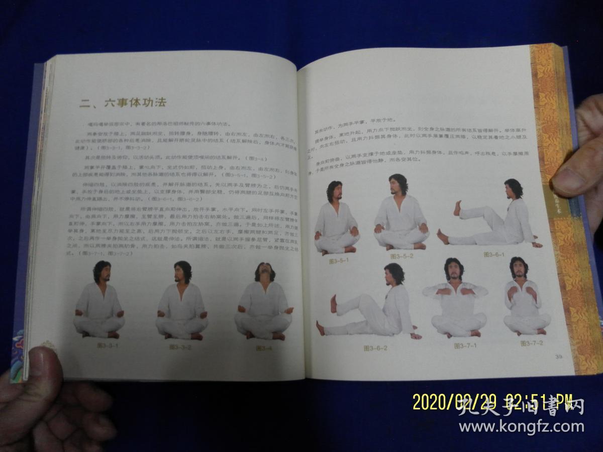 藏密养生术——来自雪域圣地的神秘古老健身养生法   24开  真人彩色图示   （阿赖耶识养生术）  2008年1版1印