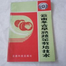 云南冬春早熟蔬菜栽培技术