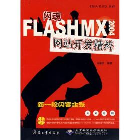 闪魂：FLASHMX2004网站开发精粹