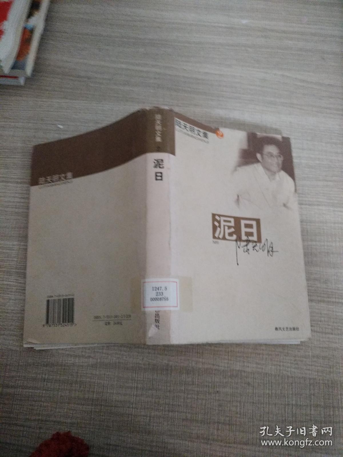 泥日.陆天明文集2