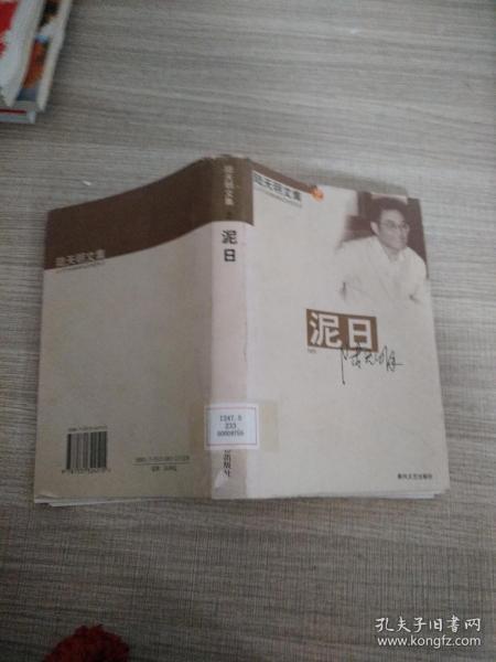 泥日.陆天明文集2