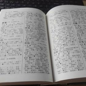 现代汉语实词搭配词典