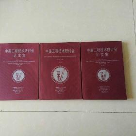 中美工程技术研讨会+中美工程技术研讨会论文集（石化 冶金 电气 家电 电子制造）中英双语3本合售