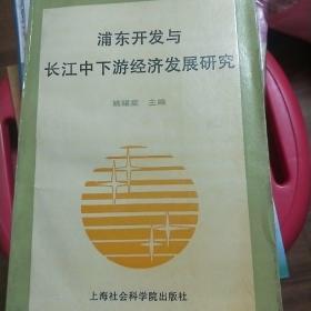 浦东开发与长江中下游经济发展研究