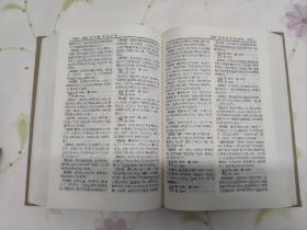 辞海（语词增补本）