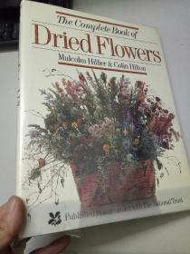 Dried Flowers(干花全集)