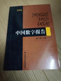 2004中国数字报告