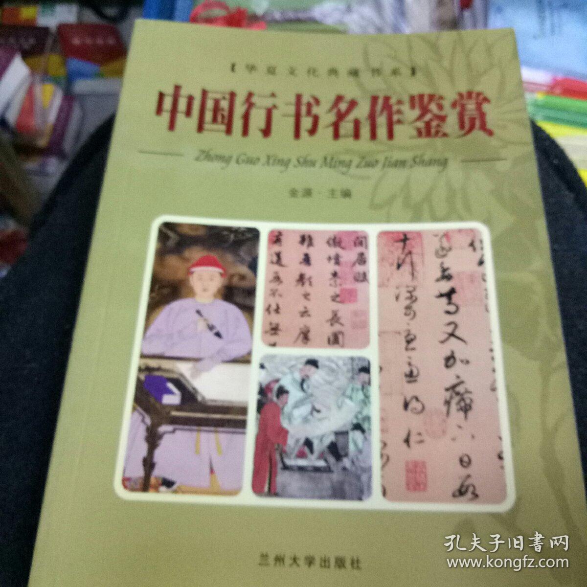 华夏文化典藏书系：中国十大世情小说(品好近全新1