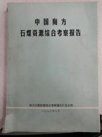 中国南方石煤资源综合考察报告