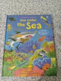 An Usborne Flap Book See under the Sea