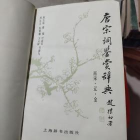 唐宋词鉴赏辞典（南宋，辽金卷）