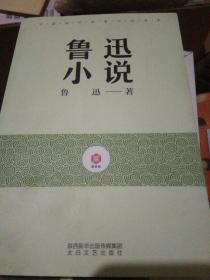 中国现代名家小说书系：鲁迅小说（鉴赏版）