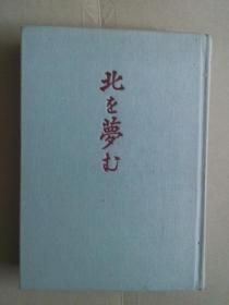 北な梦  丸山薰 岩根沢全诗集