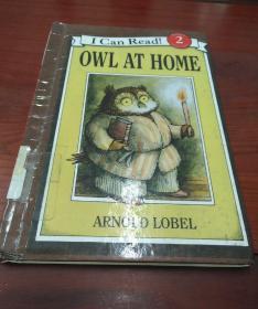 OWL AT HOME