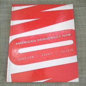 American Democracy Now[现在美国的民主]精装 大16开 库存  9品