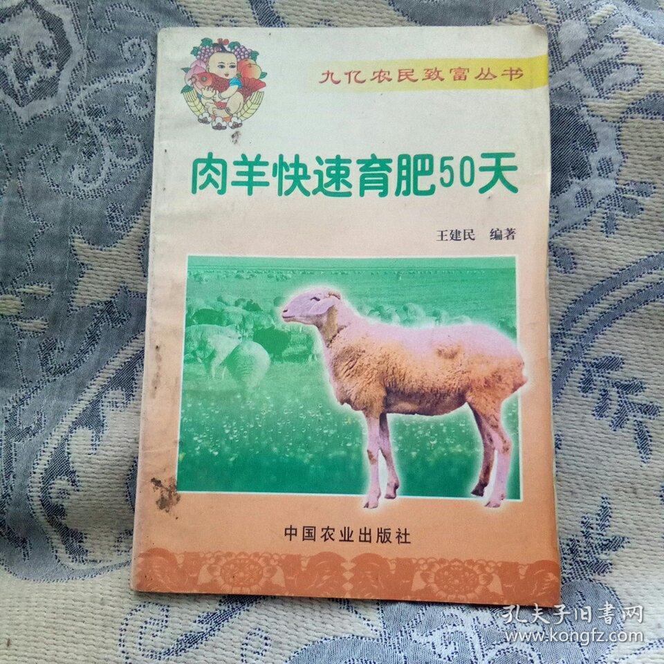 肉羊快速育肥50天。