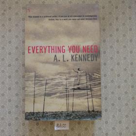 32开英文原版 everything you need