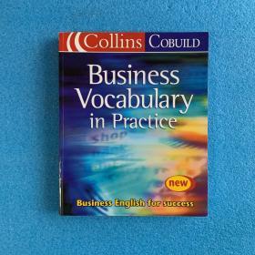 Collins COBUILD Business Vocabulary in Practice
