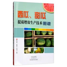 西瓜、甜瓜提质增效生产技术图谱