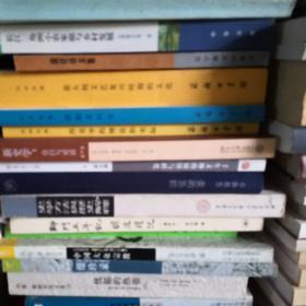 新史学：自白与对话：九位当代最著名新史学家的访谈录