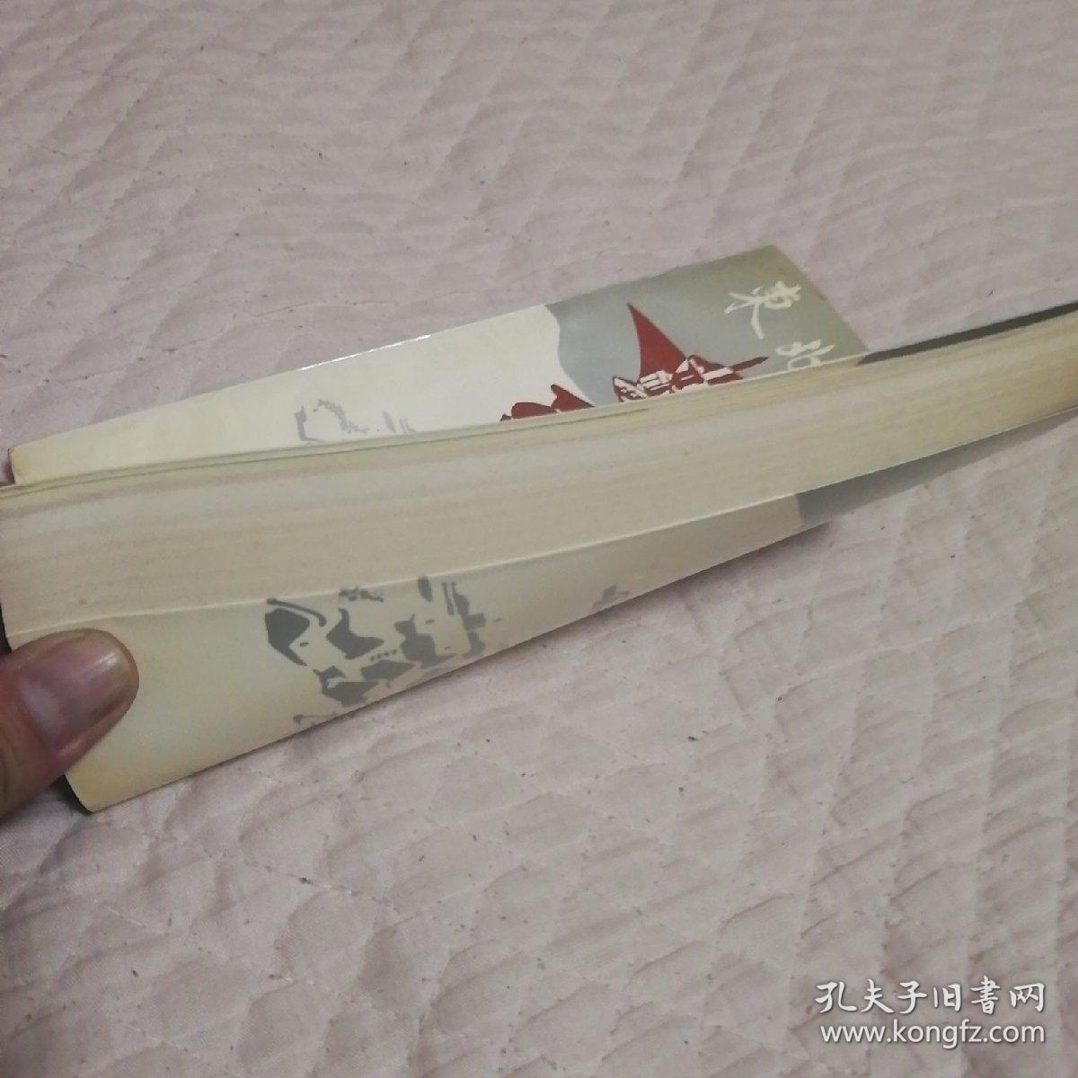 东北军旅风采录：中枢奏鸣曲  （见图.有水渍）