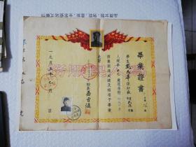 毕业证书（1955年）