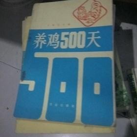 养鸡500天