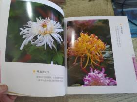 菊颂
承德避暑山庄菊花写真
作者签名书