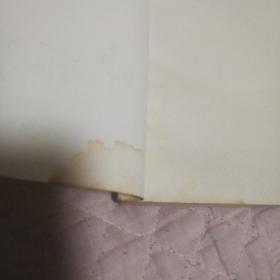 东北军旅风采录：中枢奏鸣曲  （见图.有水渍）