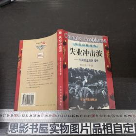 失业冲击波:中国就业发展报告