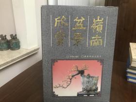 岭南盆景欣赏