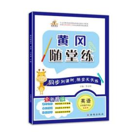 黄冈随堂练 英语 6年级下册 RJ