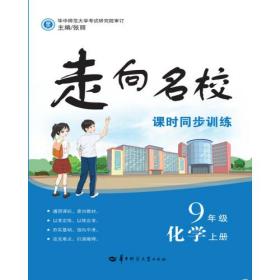 走向名校 课时同步训练 9年级化学 上册