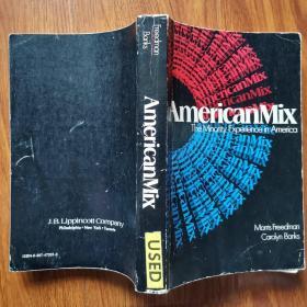 AmericanMix The Mindrity Experience in America（英文原版）