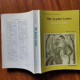 The Scarlet Letter with essays in criticism（英文原版）