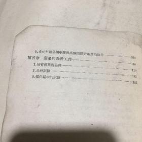 苹果