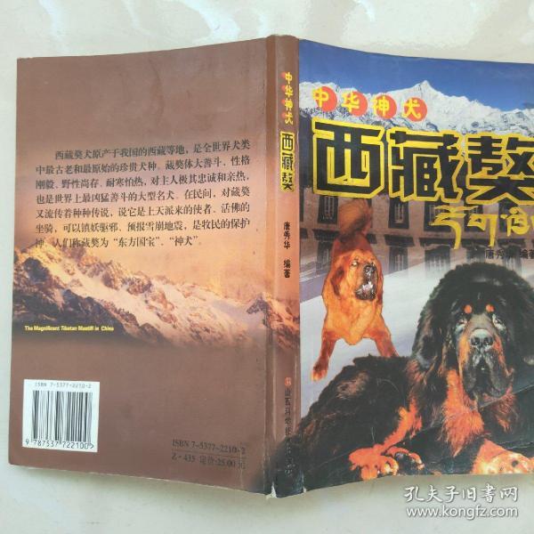中华神犬——西藏獒