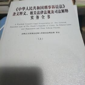 中华人民共和国刑事诉讼法条文释义、相关法律法规及司法解释实务全书