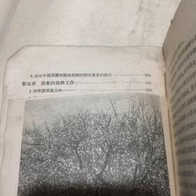 苹果