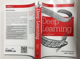 Deep Learning：A Practitioner's Approach  深度学习：从业者的方法