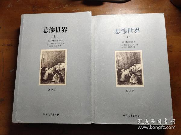 世界文学名著:悲惨世界(全译本)(套装共2册)