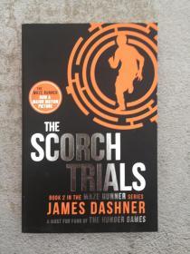 The Scorch Trials 灼烧试验