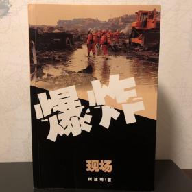 爆炸现场：天津“8·12”大爆炸纪实