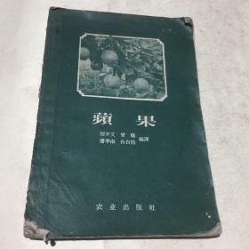 苹果