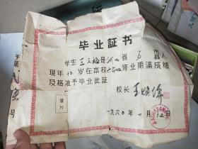 1960年毕业证