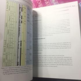 白垩纪松辽盆地松科1井大陆科学钻探工程（英文版）