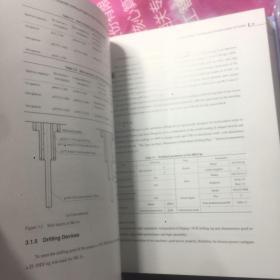 白垩纪松辽盆地松科1井大陆科学钻探工程（英文版）