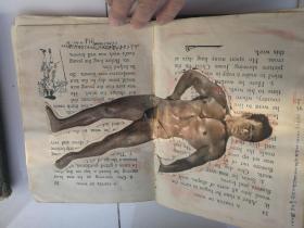 外国体育、雕塑题材剪报2册