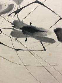 张心正绘虾戏图